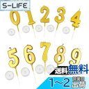 KALOLINNA バースデーナンバーキャンドル 0〜9 10点セット ロウソク 数字 誕生日を祝う 高級 ろうそく おしゃれ スタイリッシ 記念日キャンドルウ...