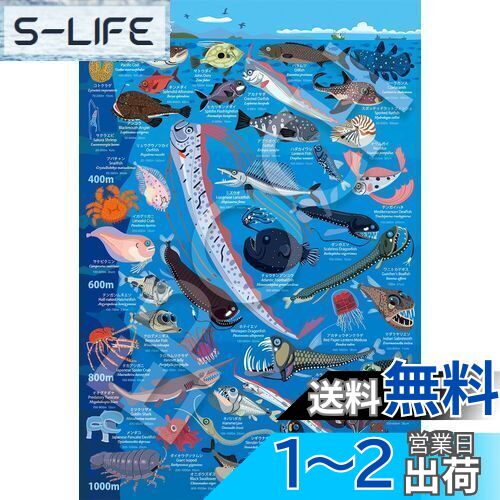 ݥå 100顼ԡ ѥ 饹/ ͧʤ ʪ޴ 忼200m~1000m (2638cm) 26-807 Τդ إդ դ EPOCH