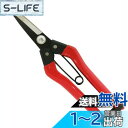 【送料無料】近与(KONYO) 永吉 青果鋏 210mm