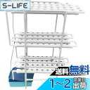 【送料無料】LAPOND 水耕栽培キット 室内水耕栽培 中型水耕栽セット 野菜栽培セット タイマー/自動施肥/給水 循環式ポンプ LEDライトで栽培可能 家庭菜...
