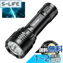 【送料無料】Wurkkos DL30 ダイビングライト LED 懐中電灯 水中ライト 潜水可能 3600ルーメン 超高輝度 USB充電式 90CRI LH351D×3搭載 IPX-8防水 水中100Mまで使用可