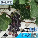 鳥よけネット ベランダ 防鳥ネット 透明色で視界や日差しを遮らない 小型な鳥たちの侵入防止 カラス 鳩 鳥害対策 防鳥網 ブルーベリーや野菜栽培や果樹などの守り...