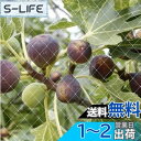 ONESORA ベランダ鳥よけネット 防鳥ネット 防鳥網 【幅2×長さ50m】 取り付けインシュロック付属 カラス避け 鳩避け 鳥避け 猫脱走防止 野良猫侵入防...