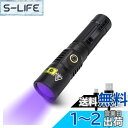 ブラックライト 365nm 20W USB充電式 UVライト レジン用 硬化 強力 紫外線 IPX4防水 2種モード アルミニウム合金製 小型 釣りペット尿検出器 サソリ アニサキス 鑑定 真贋 鉱物用 目には見えない汚れに対策 21700電池を付き (black)