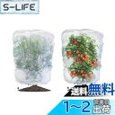 【送料無料】LIANHATA 防虫ネット 2個セット 植物保護カバー メッシュ巾着式 防鳥ネット 虫よけカバー 野菜網 鳥対策 通気性 虫鳥除け網 鉢植え用 野菜栽培 菜園プランター用 (80*80cm)