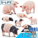 TOYMANY 8PCS農場動物フィギュア ブタフィギュアセット 豚モデル 親子 リアルな動物模型 人気動物 おもちゃ 玩具 誕生日プレゼント クリスマス 新年 飾り物 コレクション 6歳以上