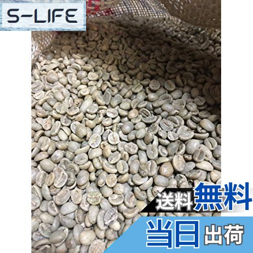 【送料無料】松屋珈琲 コーヒー生豆 コロンビア エクセルソ（EX）