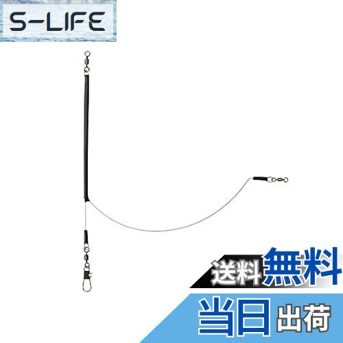 ̵ۥ(DAIWA) Ŭŷ饢 1.2mm-25cm