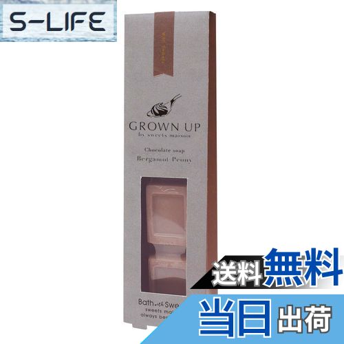 【送料無料】Sweets maison(スウィーツメゾン) ハンドソープ グロウンアップ チョコレートソープ カシスミュゲ 25g OB-SMH-1-3