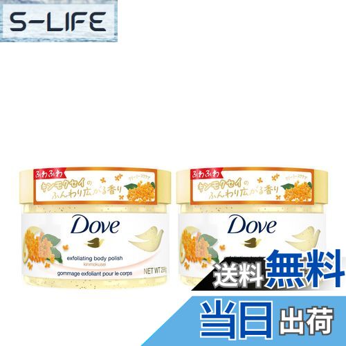 【送料無料】ダヴ スクラブ 2個セット