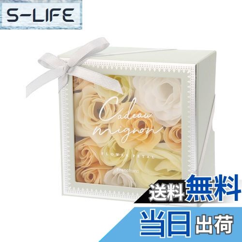 ̵Francfranc եե ɥߥ˥ Хڥ 饤ȥ꡼