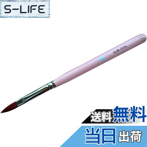 【送料無料】Mirage スリムオーバルブラシ 色：マルチカラー