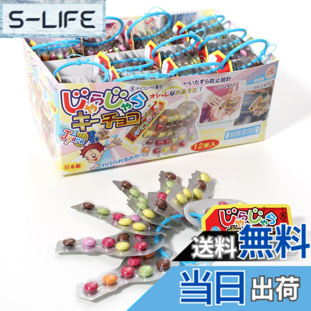 【送料無料】チーリン製菓 じゃらじゃらキーチョコ 47粒x12個