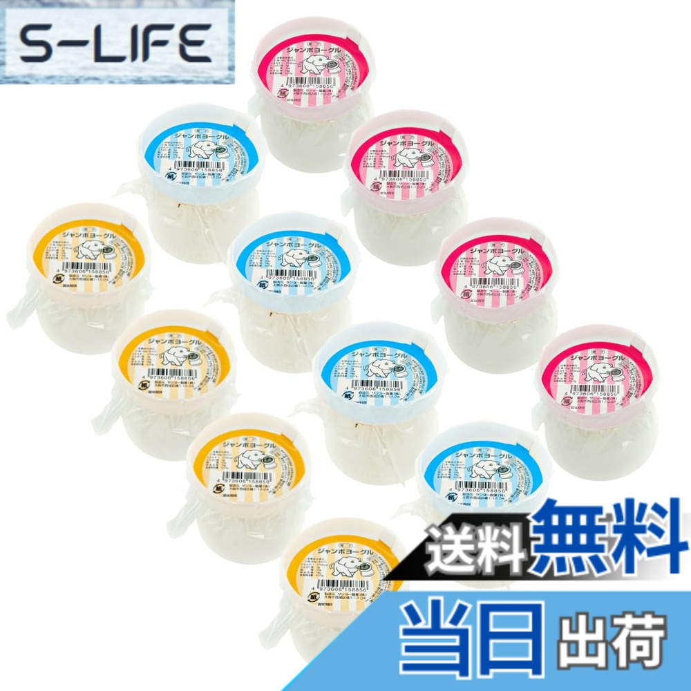 【送料無料】サンヨー製菓 ジャンボヨーグル単品12個入り モロッコヨーグルの10倍サイズ【夏場の置き配NG】溶ける可能性が高いです。