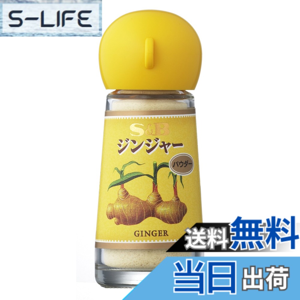 【送料無料】S&B ジンジャー(パウダー) 11gx5個