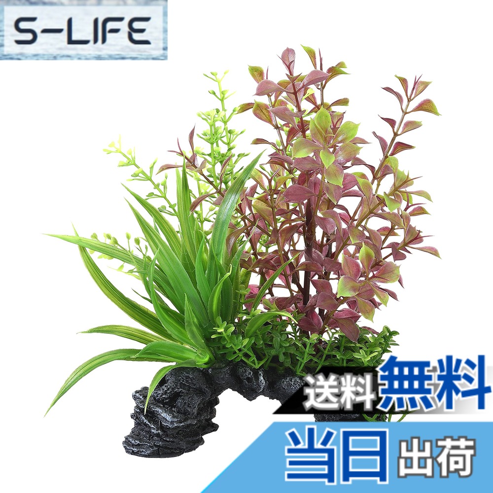 商品情報商品の説明商品紹介 入れるだけ簡単 華やかなレイアウトが完成! 寄せ植えプランツで簡単レイアウト 水槽に入れるだけで華やかなレイアウトが完成する寄せ植えプランツ 石とプランツのミックスタイプ。1つ置くだけでリアルな水景を演出します。赤い葉がワンポイント。 アーチ形状なので魚の通りぬけ、隠れ家にも。 本体サイズ:約幅12.0x奥行7.0x高さ18.0cm ●手作り品のため、サイズ・色・形状にバラつきがあります。ご了承ください。 ●タワシなどで強くこすったり、長時間使用していると色落ちすることがありますが、生体には影響ありません。 ●土台の穴は製造時に空いた穴です。ご使用には問題ございません。 使用上の注意 ※本製品は観賞魚飼育専用です。他の目的には使用しないでください。※子供、認知症の方の手の触れないところに保管してください。※子供にセットさせる時は、大人の監視のもとで行ってください。※セット時、魚の出し入れ、点検、掃除など水中に手を入れる時は、必ず水槽で使用している電気製品全ての差し込みプラグを抜いてください。※本製品を落とした場合、割れて手などを切る恐れがあります。割れた場合は、ご使用にならないでください。※本製品のお手入れの際は、スポンジややわらかい布等で優しく汚れをふき取ってください。洗剤や石鹸、アルコール、シンナー等の有機溶剤は使用しないでください。※茎や葉の部分をむやみに引っ張るとちぎれますので、取り扱いは丁寧に行ってください。※手作り品のため、サイズ・色・形状にバラつきがあります。ご了承ください。※タワシなどで強くこすったり、長時間使用していると色落ちすることがありますが、生体には影響ありません。※土台の穴は製造時に空いた穴です。ご使用には問題ございません。 原材料・成分 ポリレジン、PE 使用方法 ご使用の前に、軽く水洗いしてください。 ご注意（免責）＞必ずお読みください ※製品の仕様、デザイン、価格等予告なく変更することがあります。主な仕様 本体サイズ (幅X奥行X高さ) :12x7x18cmbr本体重量:0.24kgbr原産国:中華人民共和国