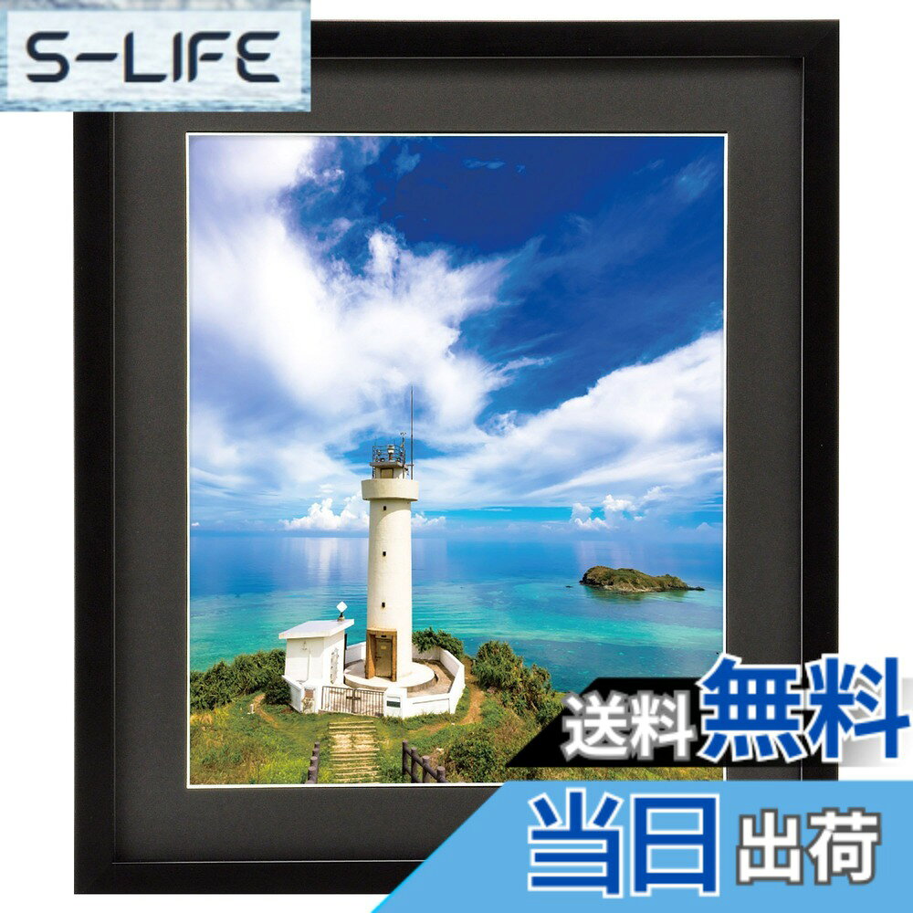 ������̵���ۥϥ��� HAKUBA �۱� MM-01 4�� ���� �֥�å� FWMM01-BK4