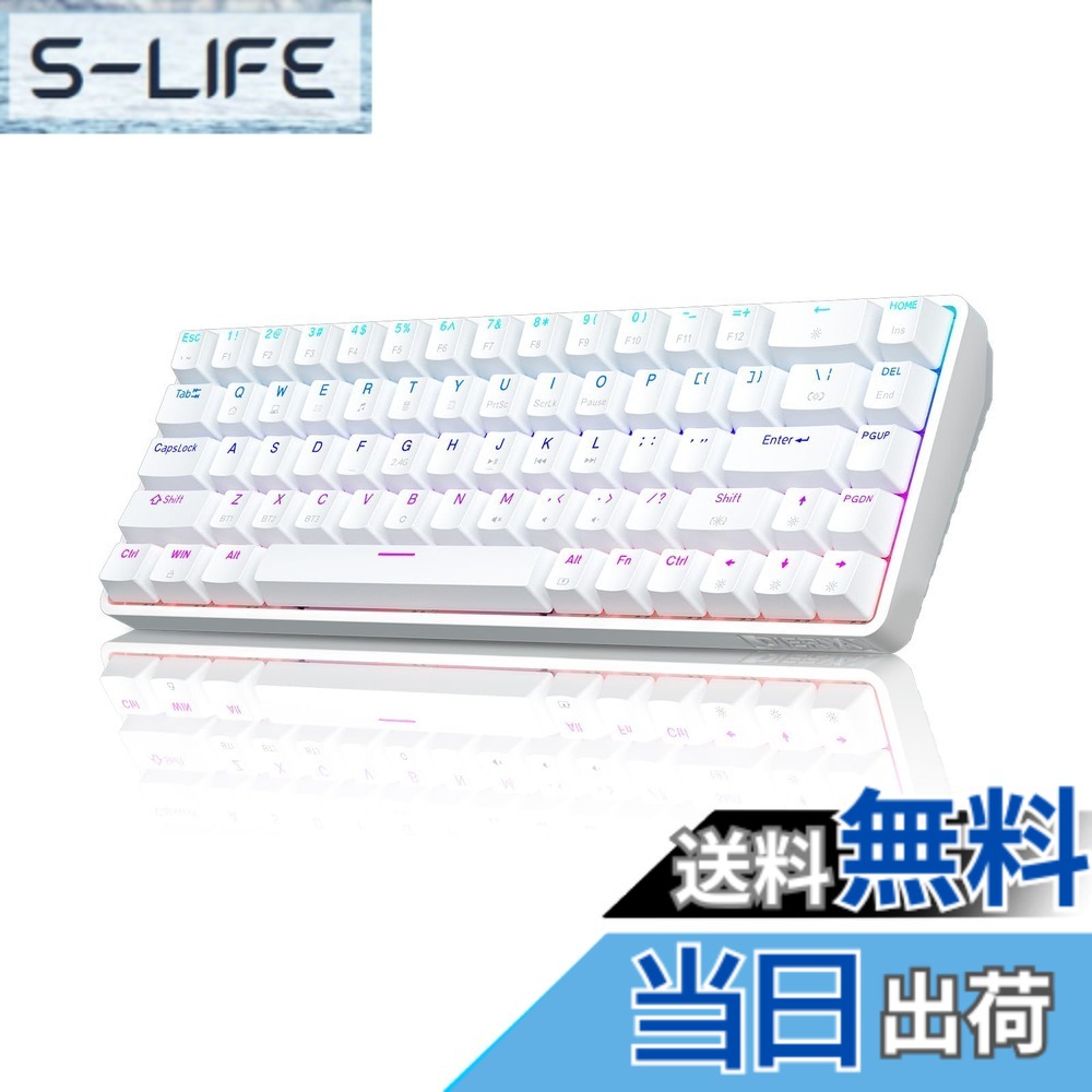 Dierya DK68 ワイヤレス ゲーミング キーボード-2.4G/Bluetooth/USB-C接続 60%配列 68キー 赤軸 メカニカル キーボード、3000mAhバッテリー RGBバックライト 全キー無衝突 Windows/Mac/Linux対応 英語配列 (ホワイト）