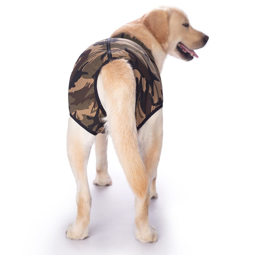 【送料無料】恐竜KUVEELA PET 術後服 犬服 犬術後服 術後ウェア 術後カバー服 保護...