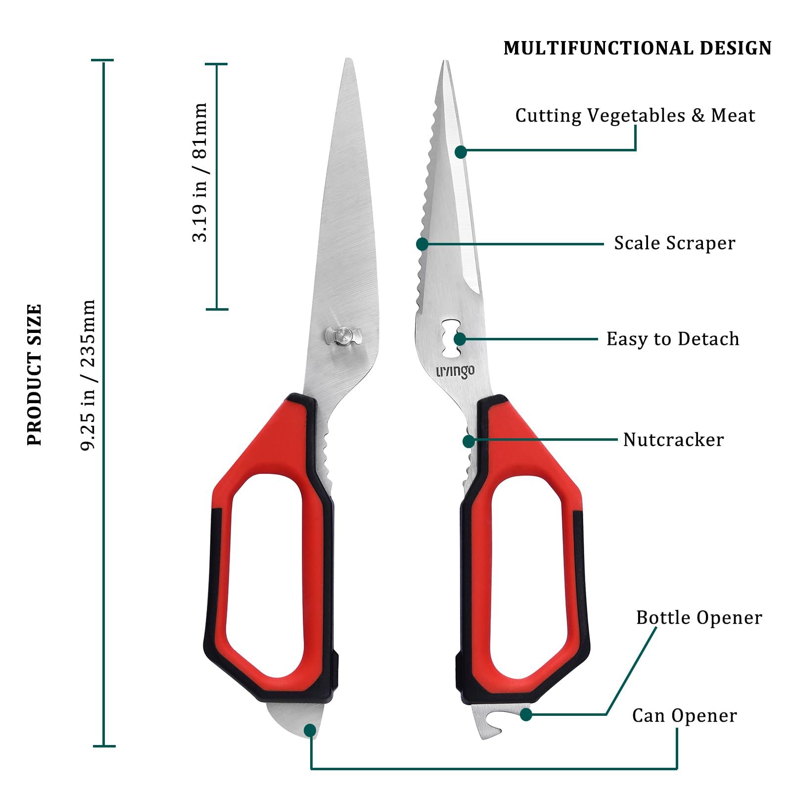【送料無料】LIVINGO キッチンハサミ ステンレス キャンプ kitchen scissors 食洗機 オールステンレス 離乳食 食洗機対応 チタン 左利き 洗える 鋏 きっちんばさみ 料理 アウトドア 用品 ナイフ 分解して洗える 錆びない オールステン おしゃれ ランキング 調理器具 機 slife-10736833 S-LIFE サンプル画像2