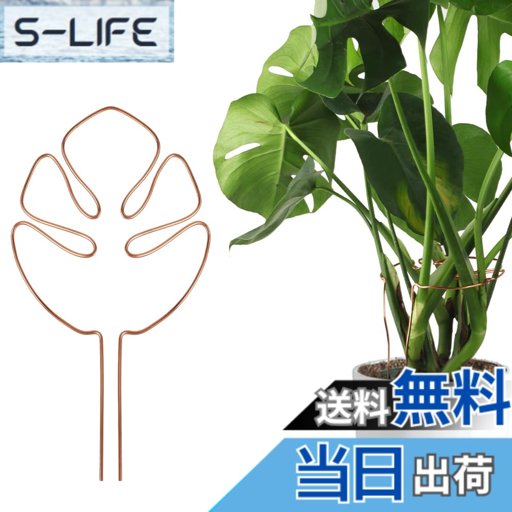 商品情報商品の説明主な仕様 【商品の仕樣】高さ：28cm 幅さ：15cm（約50cm植物対応する） 裹サイズ：31cm*15cm*2cm 重さ：70gbr【高品質素材】このプラントサポートポールは、曲げ可能なアルミニウム合金製で、曲げ角度を調整可能、成長段階の期間約50cm高さ植物対応する、倒れ防止。【適用対象】主に成長期のモンステラ・デリシオサまたはモンステラに似た植物の倒れ防止を目的としています。モンステラ、ポトス、トマトなどの着生植物や蔓性の観葉植物の栽培に適しています、庭園の美しさをさらに演出します。【耐湿性】錆びない設計を採用し、雨を気にせず屋外で使用できます。