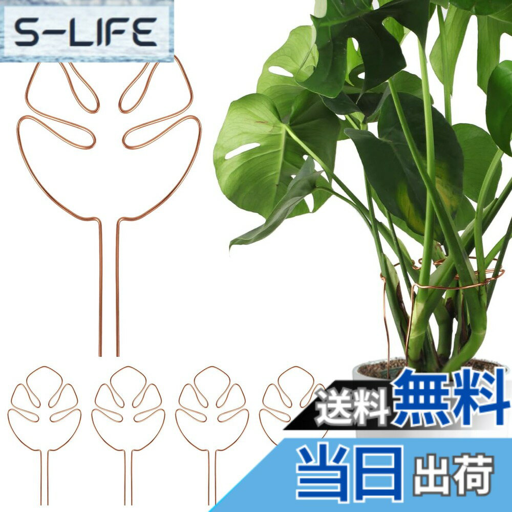 商品情報商品の説明主な仕様 【商品の仕樣】高さ：28cm 幅さ：15cm（約50cm植物対応する） 裹サイズ：31cm*15cm*2cm 重さ：310g 内容含む：5本入り【高品質素材】このプラントサポートポールは、曲げ可能なアルミニウム合金製で、曲げ角度を調整可能、成長段階の期間約50cm高さ植物対応する、倒れ防止。【適用対象】主に成長期のモンステラ・デリシオサまたはモンステラに似た植物の倒れ防止を目的としています。モンステラ、ポトス、トマトなどの着生植物や蔓性の観葉植物の栽培に適しています、庭園の美しさをさらに演出します。【耐湿性】錆びない設計を採用し、雨を気にせず屋外で使用できます。
