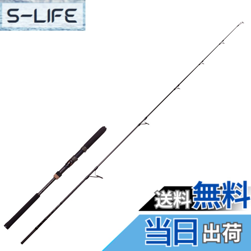 アブガルシア OCEANFIELD JIGGING（オーシャンフィールド ジギング） OFJC-62-MAX300