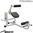 アブバックマシン[impulse/インパルス] 送料無料 ジム 自宅 業務用 トレーニングマシン トレーニングベンチ [WILD FIT Premium]