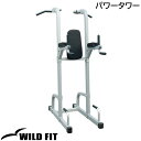 パワータワー [impulse/インパルス]送料無料 ジム 自宅 業務用 トレーニングマシン チンニング ディップス [WILD FIT Premium]