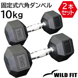 꼰ϻѥ٥10kg 2ܥå̵ ٥ С٥  ڥȥ졡ȥ졼˥ ʢ ض ٥ץ쥹  [WILD FIT Premium]