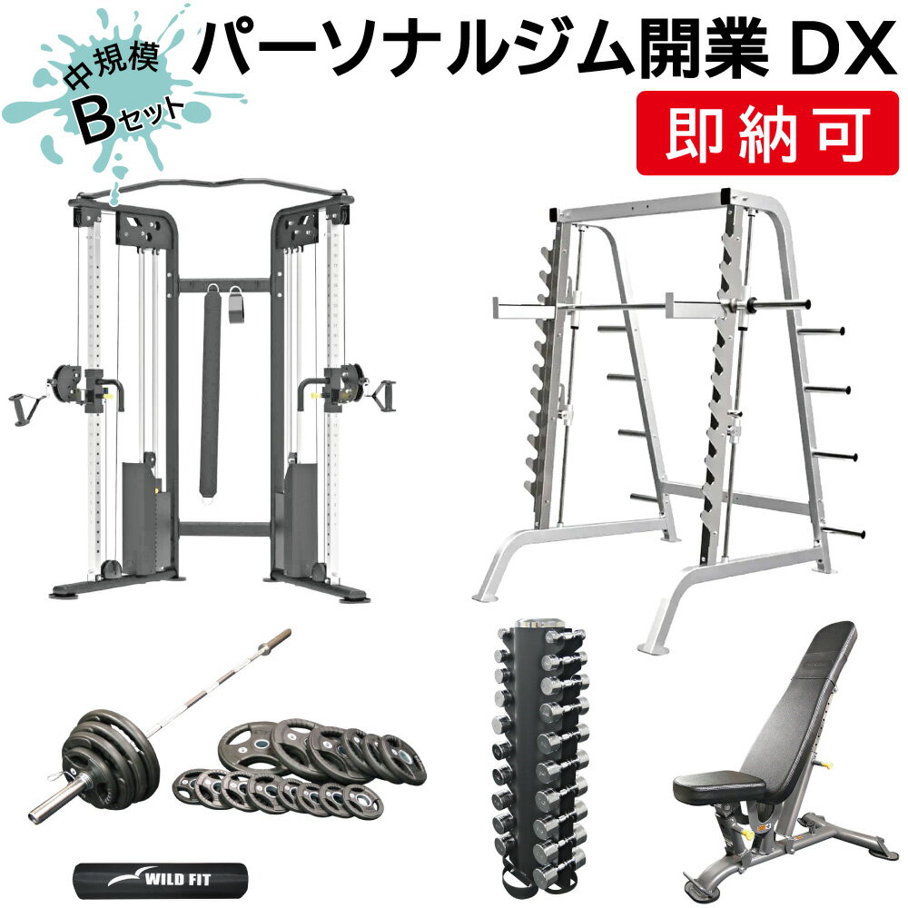 パーソナルジム開業DX Bセット送料無料 スミス 自宅 トレーニングマシン 筋トレ フィットネス 業務用 ジム パーソナルジム スミスマシン [WILD FIT...