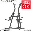 ラットプルダウン [impulse/インパルス]送料無料 マシン ジム 自宅 業務用 トレーニングベンチ スクワット ラットプル [WILD FIT Premium]