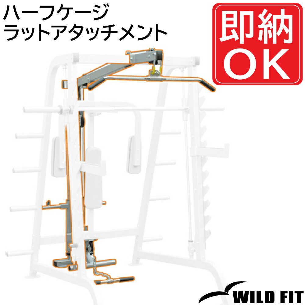 ϡեåȥå [impulse/ѥ륹]̵   ̳ ȥ졼˥󥰥ޥ [WILD FIT Pre...