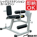 【ポイント10倍★4月1日限り】[WILD FIT Premium] レッグエクステンションカールマシン [impulse/インパルス]送料無料 ジム 自宅 業務用 トレーニングマシン トレーニングベンチ その1