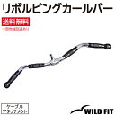 リボルビングカールバー (ムク棒)ラットプルバー 送料無料 筋トレ ケーブルアタッチメント トレーニング器具 ダンベル バーベル ラットプルダウン アタッチメン...