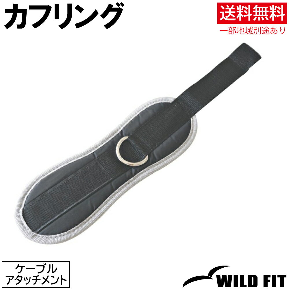 ֥뱿ưѥե ͹آ̵ ڥȥ ȥ졼˥󥰴 ٥ С٥ ٥ץ쥹 [WILD FIT Premi...