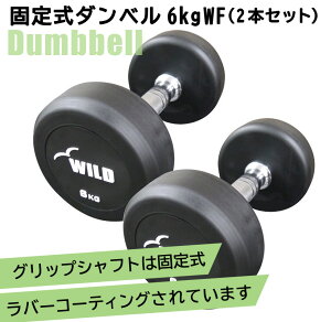 [WILD FIT Premium] 꼰٥ 6kg WF 2ܥå̵ ӻƬ  ڥȥ ȥ졼˥ ٥ ٥ץ쥹  Ŵ쥤
