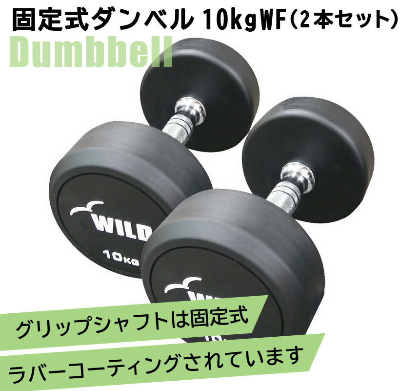 WILD FIT 黒ラバー プレート 10kg (2枚) 《返品・交換不可