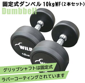 [WILD FIT Premium] 꼰٥ 10kg WF 2ܥå̵ ӻƬ  ڥȥ ȥ졼˥ ٥ ٥ץ쥹  Ŵ쥤