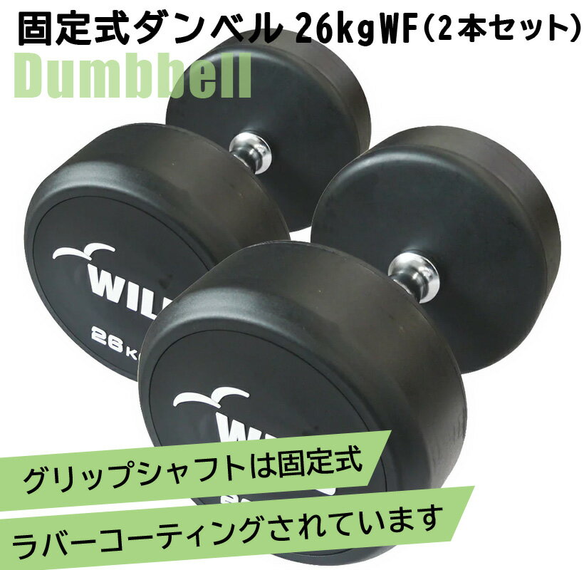 [WILD FIT Premium] 꼰٥ 26kg WF 2ܥå̵ ٥ ӻƬ ڥȥ ȥ졼˥ ʢ ض  ٥ץ쥹  Ŵ쥤