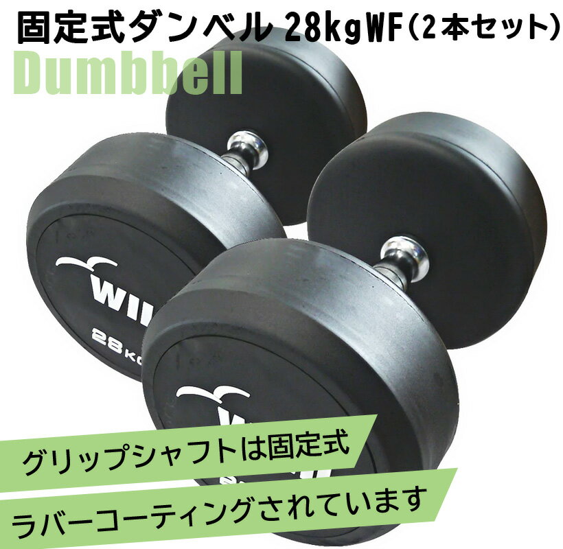 꼰٥ 28kg WF 2ܥå̵ ٥ С٥ ڥȥ ȥ졼˥ ʢ ض ٥ץ쥹  Ŵ쥤 [WILD FIT Premium]