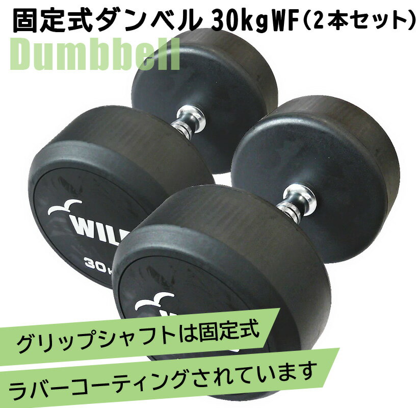  固定式ダンベル 30kg WF 2本セット送料無料 ジムダンベル ウエイト 筋トレ　トレーニング 腹筋 背筋 ベンチプレス ジム 鉄アレイ