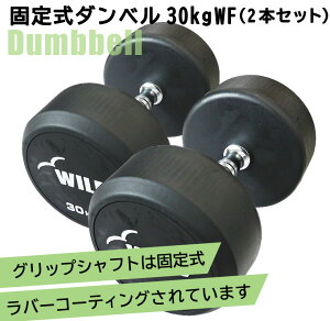 410ͽ[WILD FIT Premium] 꼰٥ 30kg WF 2ܥå̵ ٥  ڥȥ졡ȥ졼˥ ʢ ض ٥ץ쥹  Ŵ쥤