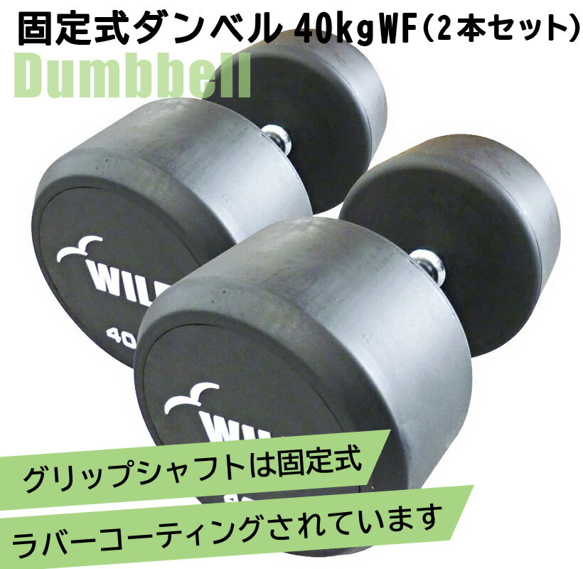 [WILD FIT Premium] 꼰٥ 40kg WF 2ܥå̵ ٥  ڥȥ졡ȥ졼˥ ʢ ض ٥ץ쥹  Ŵ쥤