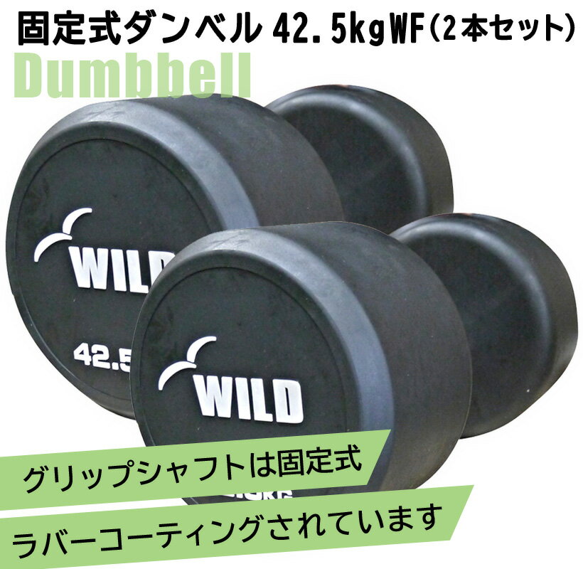 [WILD FIT Premium] 固定式ダンベル 42.5kg WF 2本セット送料無料 ジム ダンベル ウエイト 筋トレ トレーニング 腹筋 ベンチプレス ジム 鉄アレイ