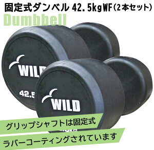 [WILD FIT Premium] 꼰٥ 42.5kg WF 2ܥå̵  ٥  ڥȥ ȥ졼˥ ʢ ٥ץ쥹  Ŵ쥤