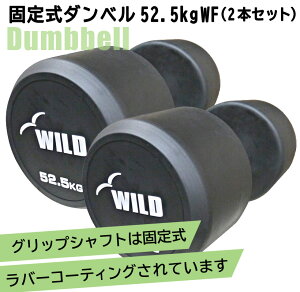 [WILD FIT Premium] 꼰٥ 52.5kg WF 2ܥå̵  ٥  ڥȥ ȥ졼˥ ʢ ٥ץ쥹  Ŵ쥤