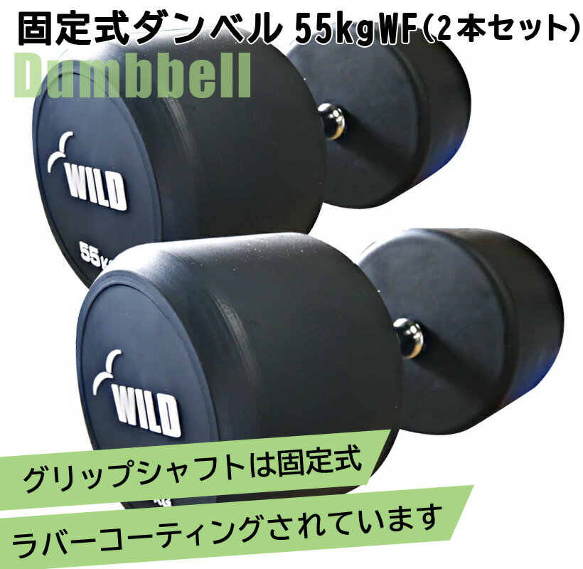 [WILD FIT Premium] 꼰٥ 55kg WF 2ܥåȡԲġ̵ ٥  ڥȥ ...