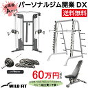 パーソナルジム開業DX Aセット送料無料 スミス 自宅 トレーニングマシン 筋トレ フィットネス 業務用 ジム パーソナルジム スミスマシン [WILD FIT Premium]