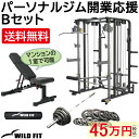 パーソナルジム開業応援Bセット送料無料 スミス 自宅 トレーニングマシン 筋トレ フィットネス 業務用 ジム パーソナルジム スミスマシン アタッチメント WILD FIT Premium